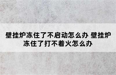 壁挂炉冻住了不启动怎么办 壁挂炉冻住了打不着火怎么办